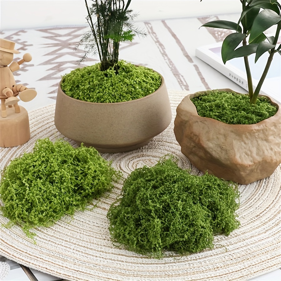 Terrarium Moss Art - Mousse artificielle de simulation de micro