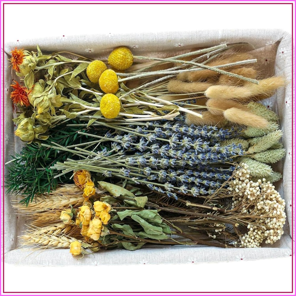 Dried Flower Bulk - Ensemble de fleurs séchées naturelles DIY