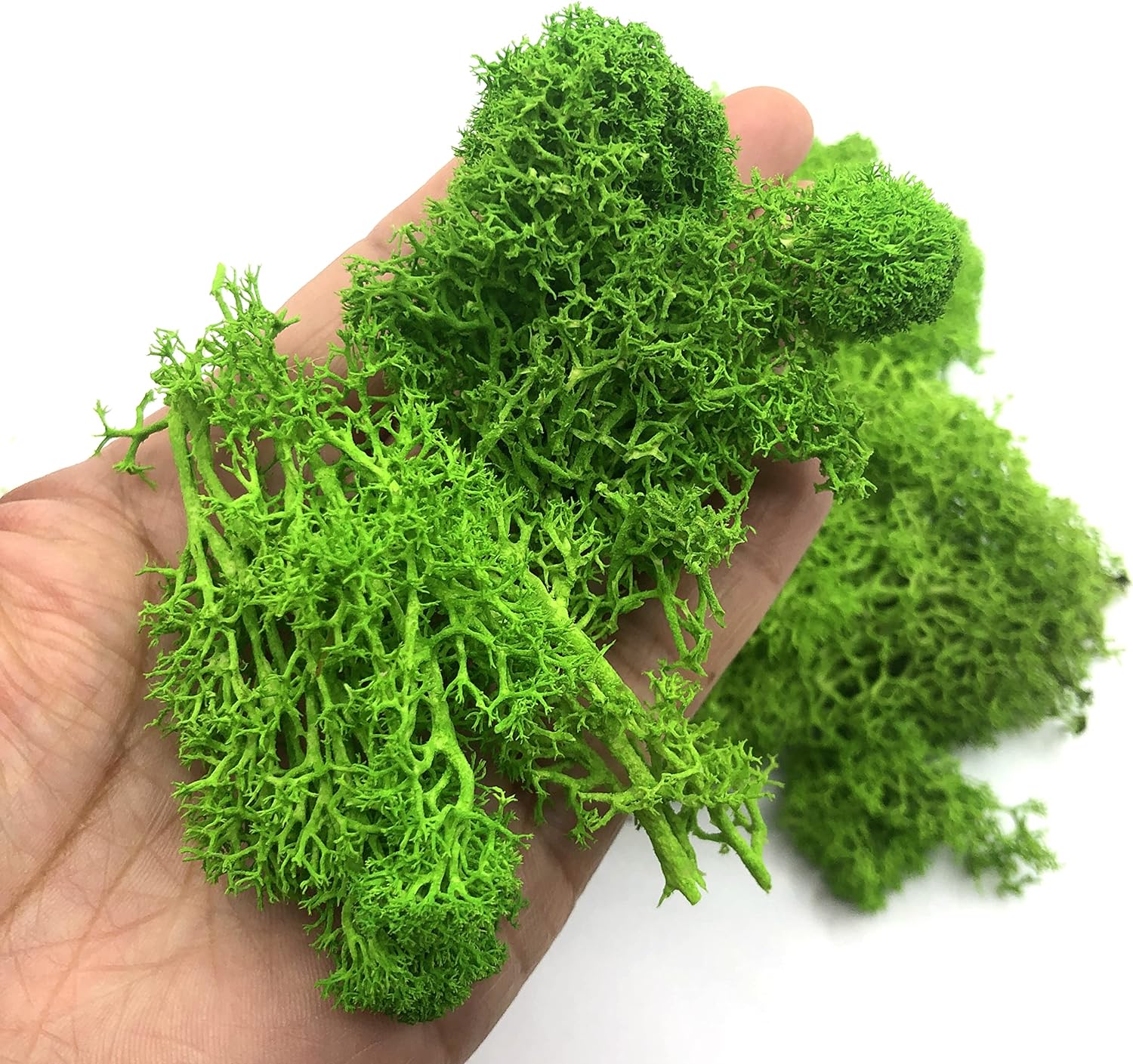 Terrarium Moss Art - Mini plantes vertes artificielles, 200g, paysage,