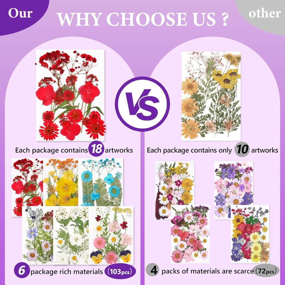 Fleurs séchées pressées pour l - Dried Flower Bulk avis et prix