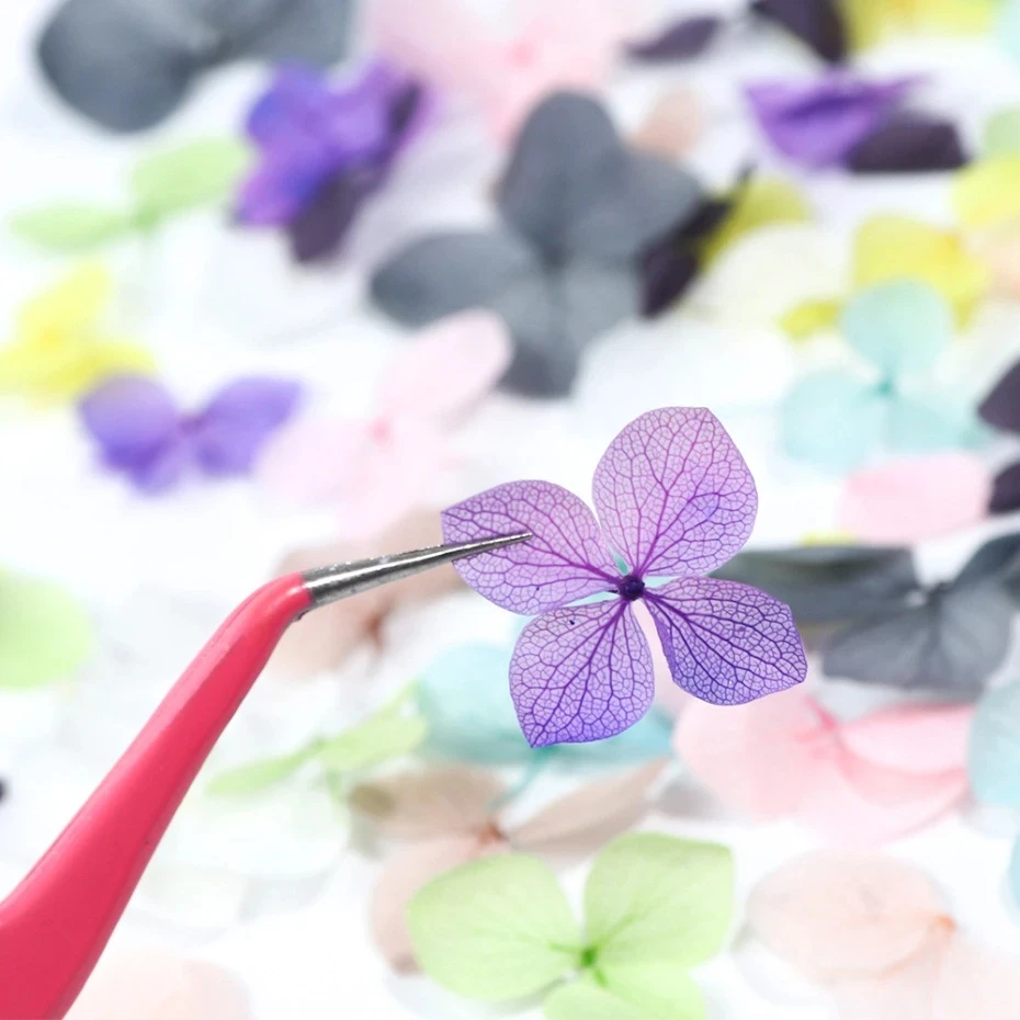 Véritables Fleurs vaccées pour - Dried Flower Bulk avis et prix