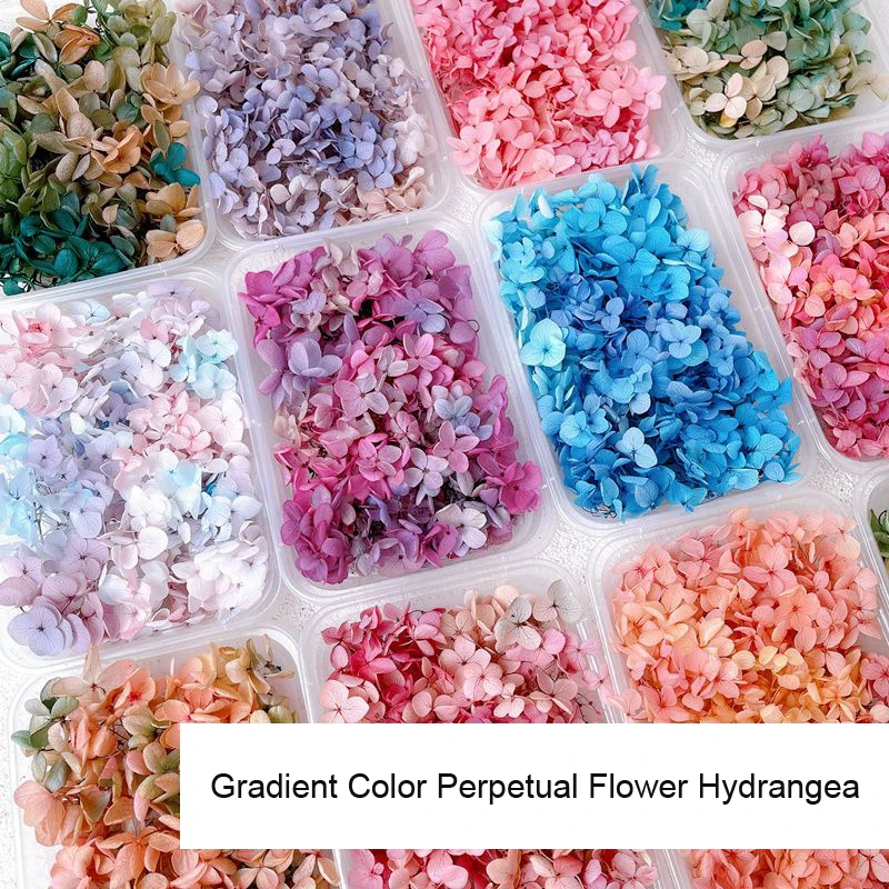 Véritables Fleurs vaccées pour - Dried Flower Bulk avis et prix