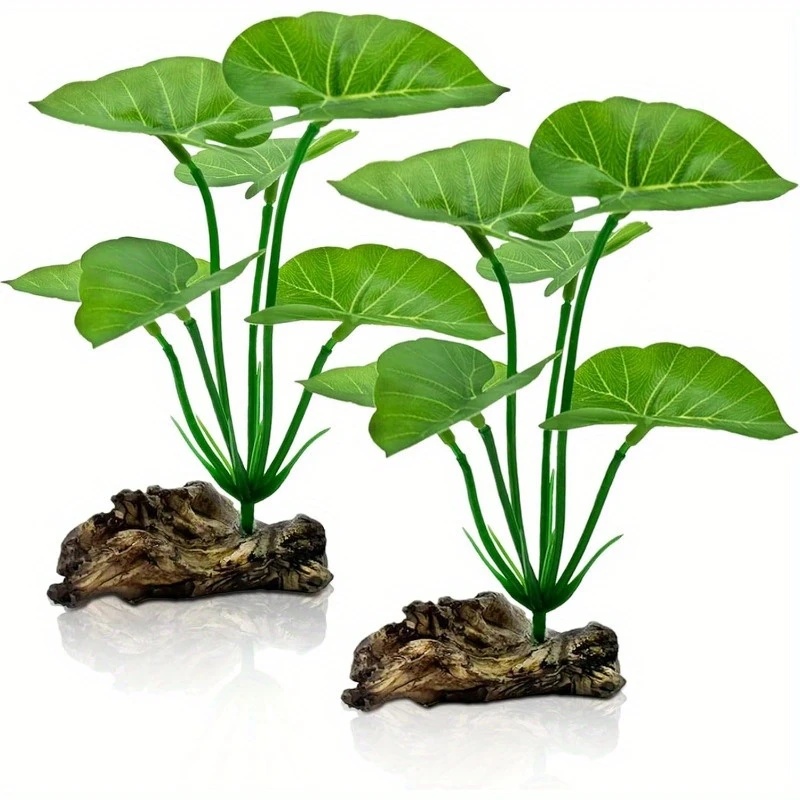 Plantes d'aquarium artificiell - Terrarium Moss Art avis et prix
