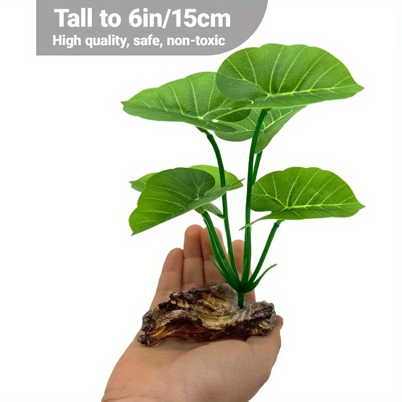 Plantes d'aquarium artificiell - Terrarium Moss Art avis et prix