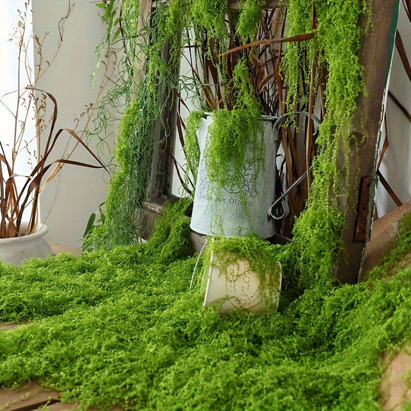 Mousse artificielle de simulat - Terrarium Moss Art avis et prix