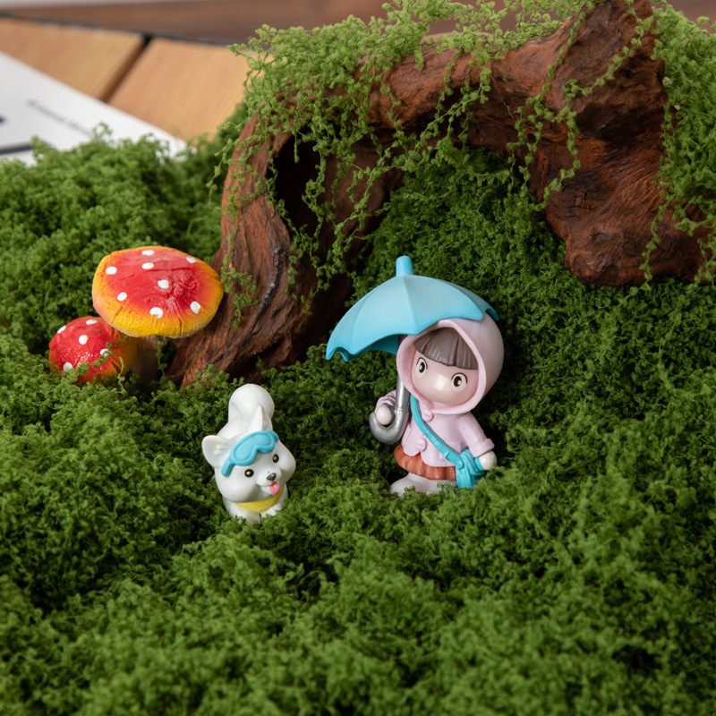 200g de mousse éternelle pour  - Terrarium Moss Art avis et prix