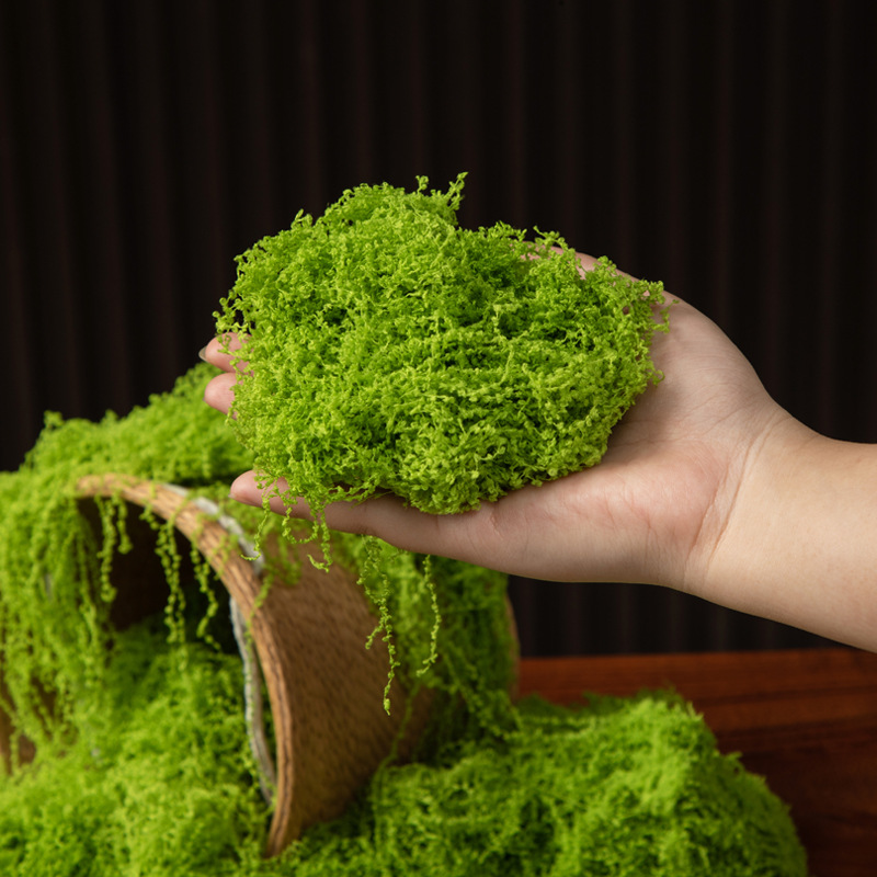 200g de mousse éternelle pour  - Terrarium Moss Art avis et prix