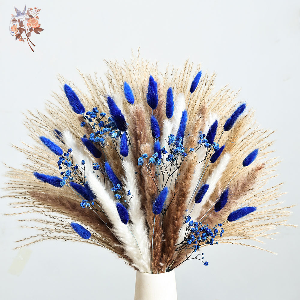 Queue de lapin moelleuse bleue - Dried Flower Bulk avis et prix