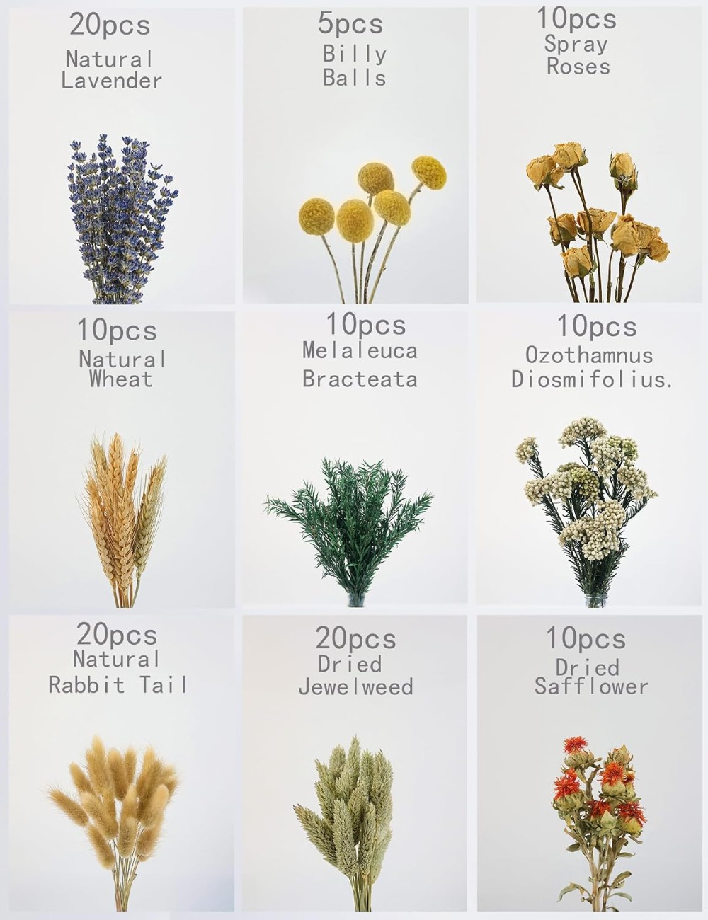 Ensemble de fleurs séchées nat - Dried Flower Bulk avis et prix