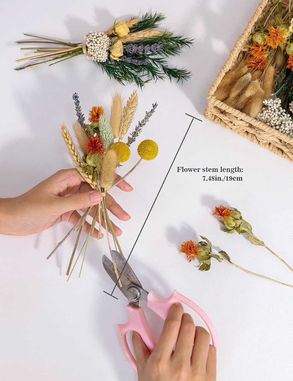 Ensemble de fleurs séchées nat - Dried Flower Bulk avis et prix