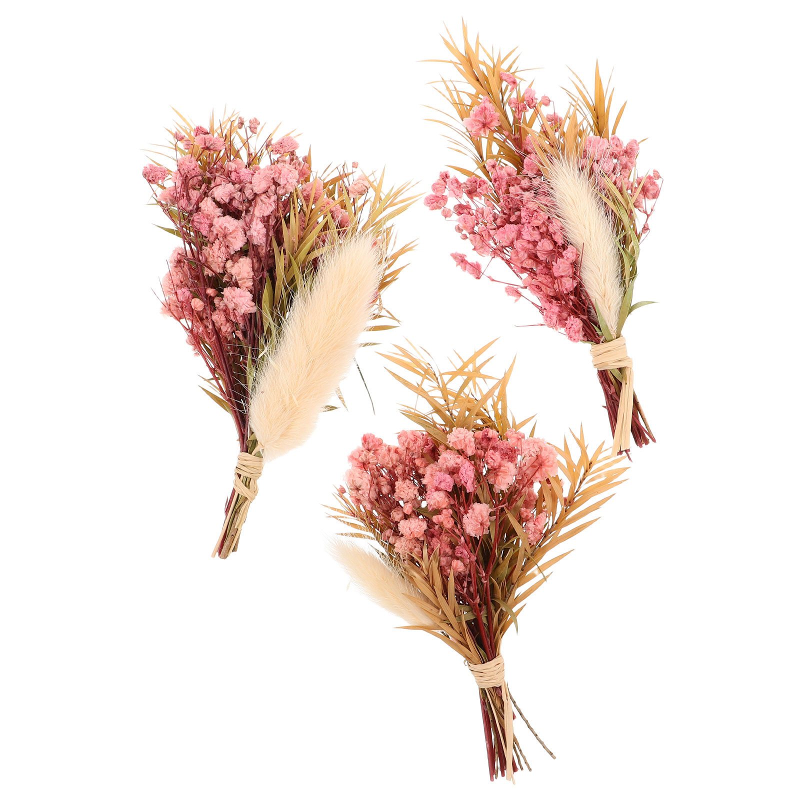 Lot de 3 mini-bouquets de fleu - Dried Flower Bulk avis et prix