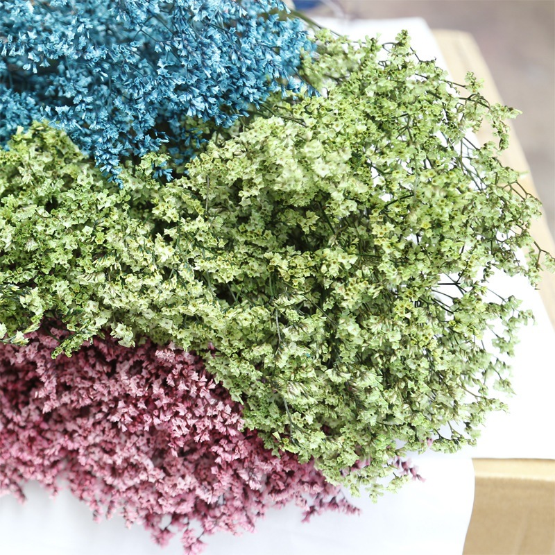 Fleurs naturelles séchées et c - Dried Flower Bulk avis et prix