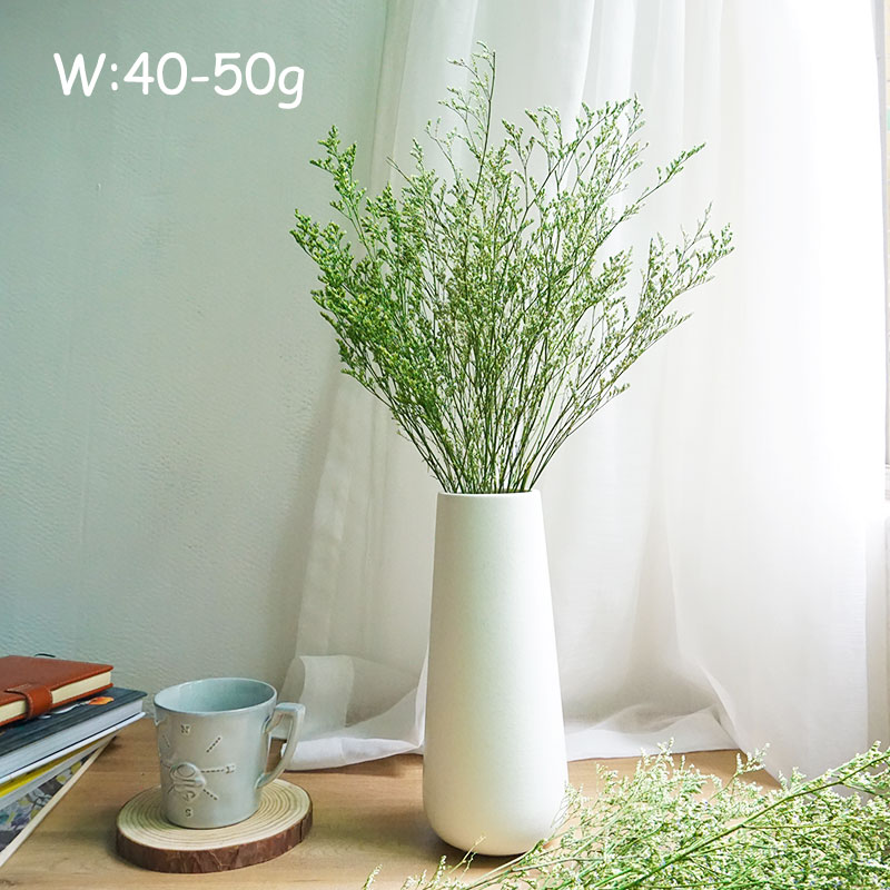 50g/Herbe de la Saint-Valentin - Dried Flower Bulk avis et prix