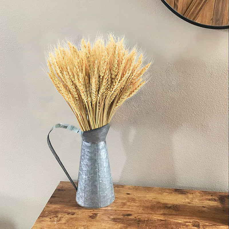 Sunks de blé séché pour la déc - Dried Flower Bulk avis et prix
