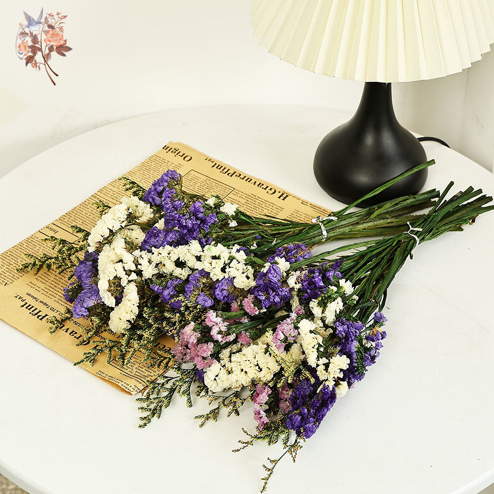 Bouquet de fleurs naturelles,  - Dried Flower Bulk avis et prix