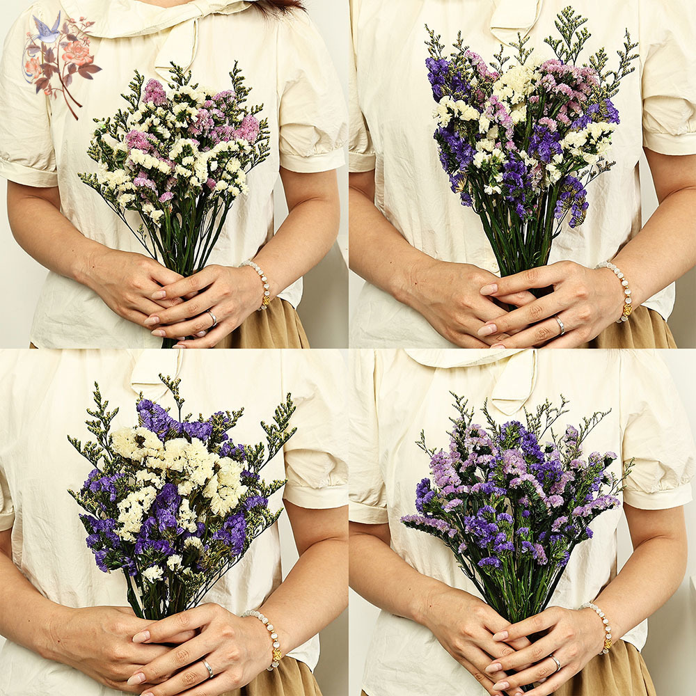 Bouquet de fleurs naturelles,  - Dried Flower Bulk avis et prix