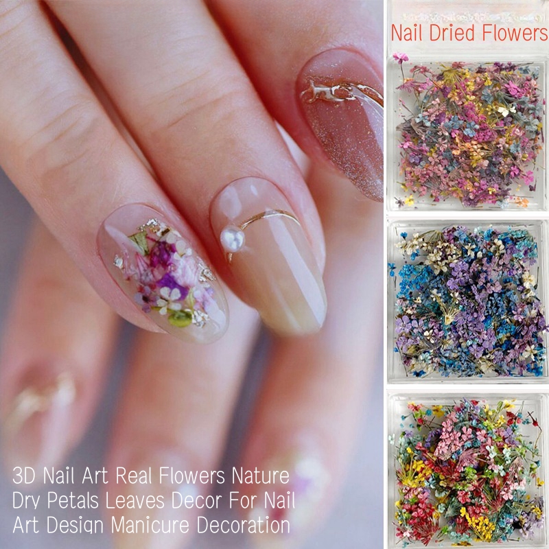 Mélange de petites fleurs séch - Dried Flower Bulk avis et prix
