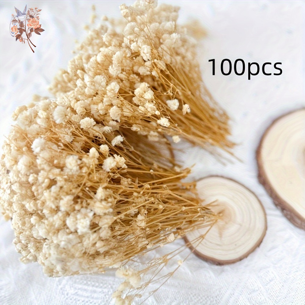100 mini-fleurs séchées de gyp - Dried Flower Bulk avis et prix