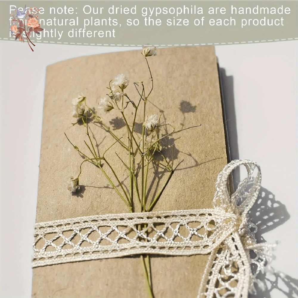100 mini-fleurs séchées de gyp - Dried Flower Bulk avis et prix
